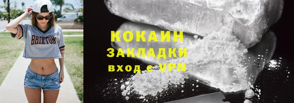 молекула духа Пересвет