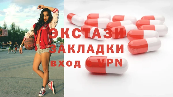 гашик Пестово