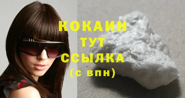 молекула духа Пересвет