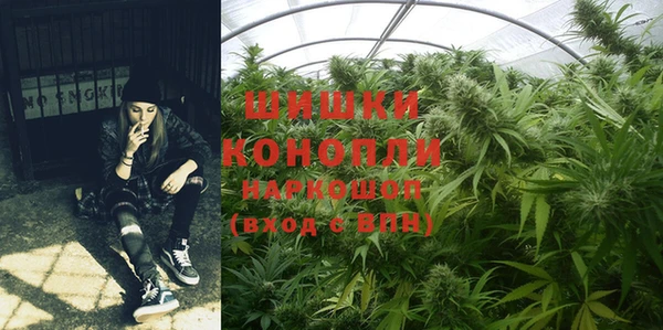 гашик Пестово