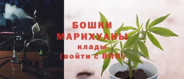 гашик Пестово