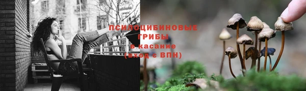 Альфа ПВП Верхний Тагил