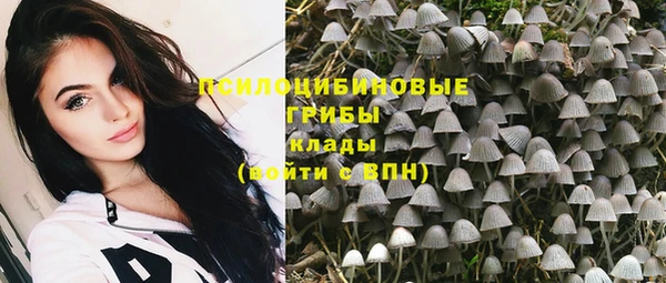 a pvp Покров