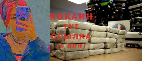гашик Пестово
