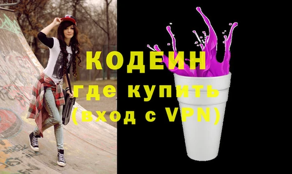 гашик Пестово