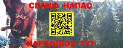 сатива Аргун