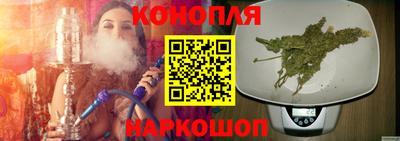 сатива Аргун