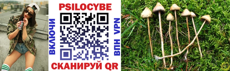 Галлюциногенные грибы прущие грибы  купить наркоту  Волжск 