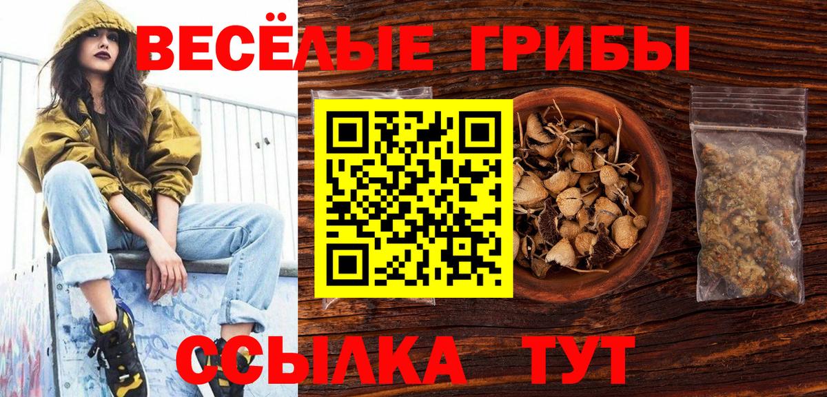 что такое   Волжск  Псилоцибиновые грибы Psilocybine cubensis  Галлюциногенные грибы Magic Shrooms 