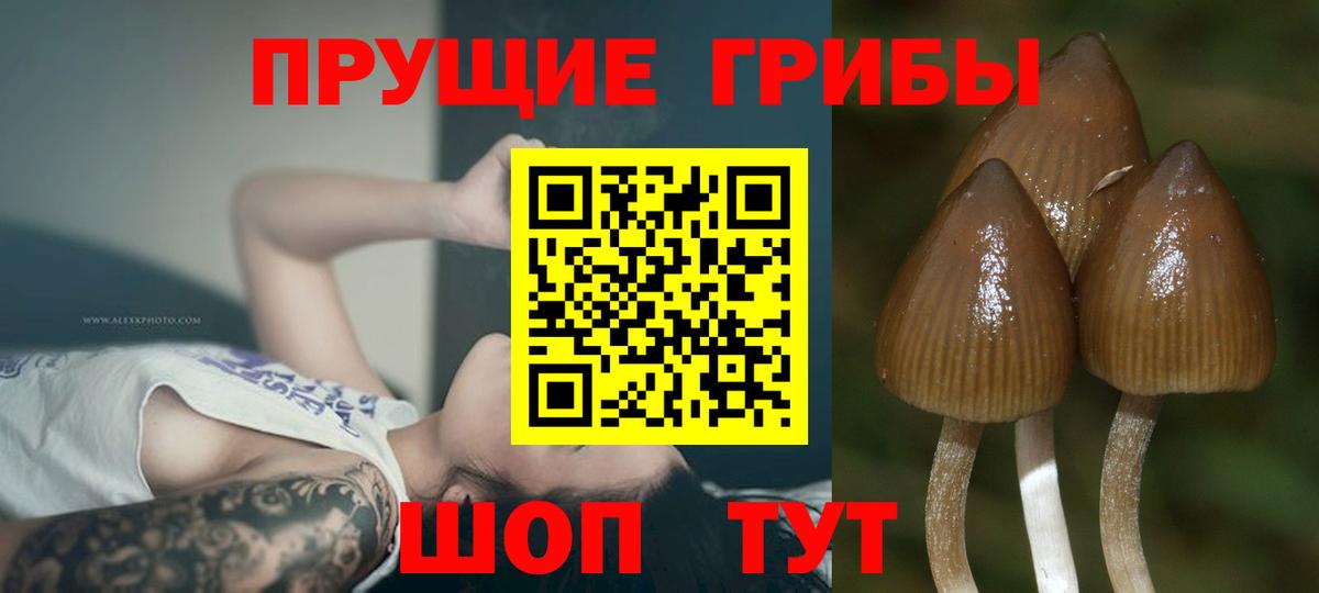 Галлюциногенные грибы MAGIC MUSHROOMS Волжск